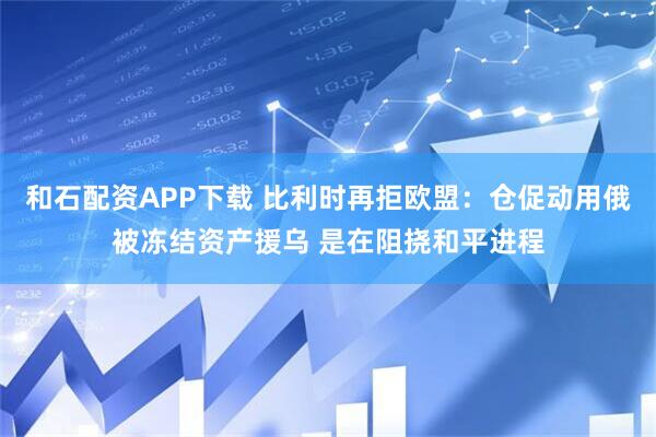 和石配资APP下载 比利时再拒欧盟：仓促动用俄被冻结资产援乌 是在阻挠和平进程