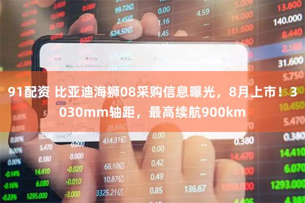 91配资 比亚迪海狮08采购信息曝光,8月上市!3030mm轴距,最高续航900km